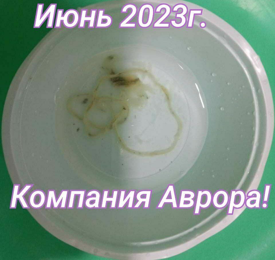 Результаты Очищения Организма с Продукцией «Аврора»