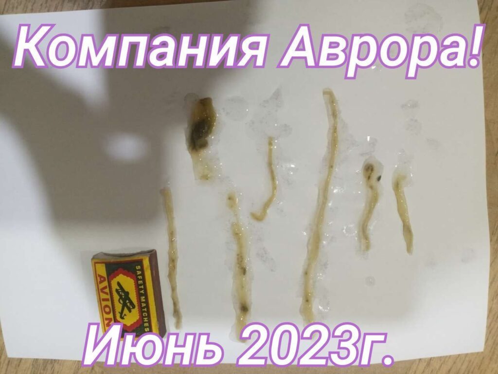 Продукция «Аврора»: Революционные решения для вашего бизнеса