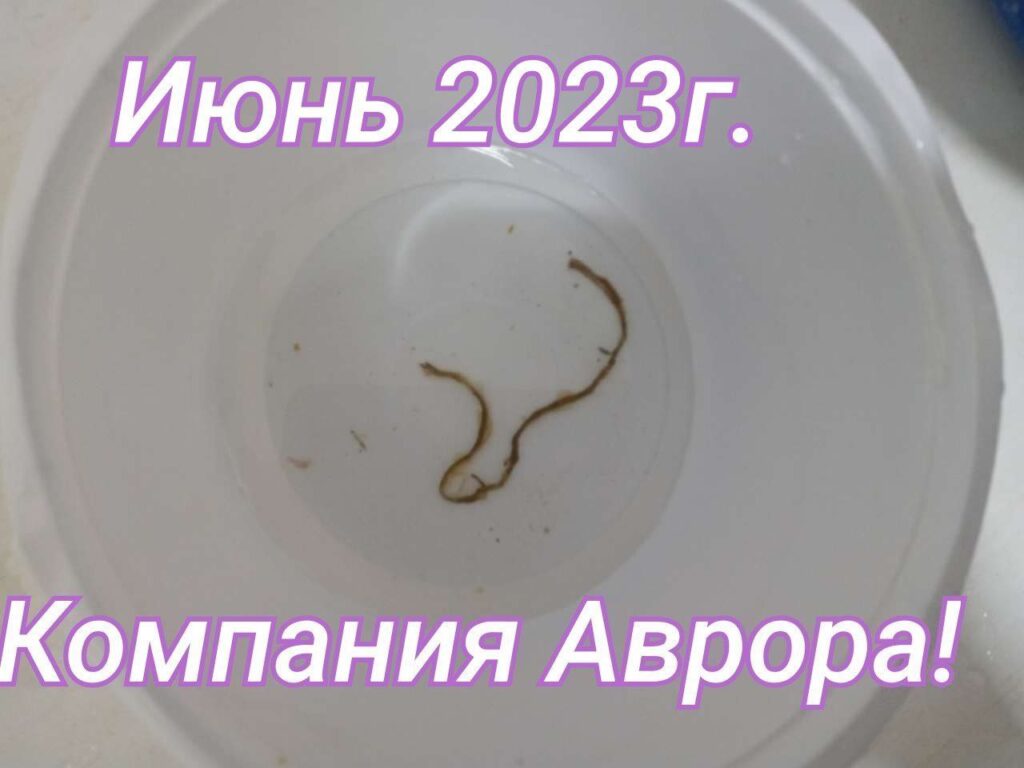 Продукция «Аврора»: Реальные результаты в борьбе с паразитами